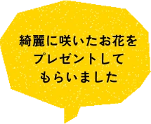 綺麗に咲いたお花をプレゼントしてもらいました